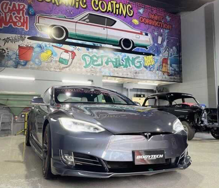 Tesla Body Silver